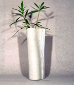 Flaschenkleid - ID08009F