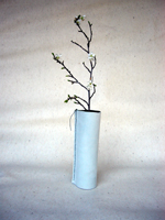 Flaschenkleid - ID08017F